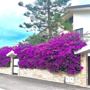 Tulipano Rosso , Bari Italy